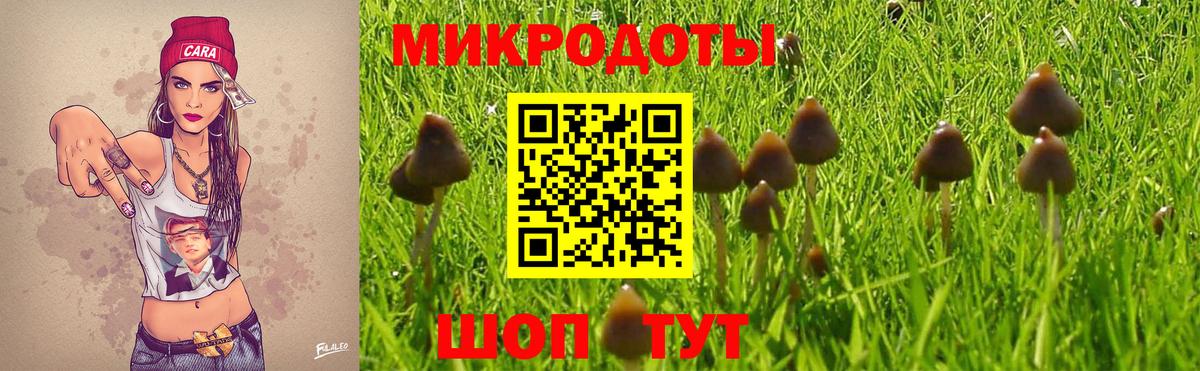 закладка  Псилоцибиновые грибы Psilocybe  Вход с VPN  Старая Русса 